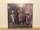 Los Cardenales De Nuevo León LP  “Y Que Más Da” (New)