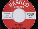 Funk 45 CALIF. SOUL EXPLOSION The Feeling PASHLO NM HEAR h