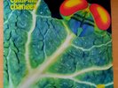 Catapilla Changes Vinyl Vertigo Original 1972 sehr guter Zustand N/M