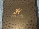 Eminem Slim Shady SSSLP25 25th Anniversary 2LP - LE Zoetrope Picture Disc SEALED