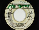 Rocksteady 45 - Fugitives ft. Joe Joe - Cantelope Rock - Fugitive Jamaica