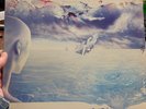 RUSH Grace Under Pressure, Vinyl, LP, SIGNED  NICE