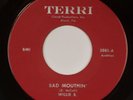 WILLIE B: Bad Mouthin’ US Terri Florida R&B Soul Blues 45 Superb HEAR