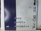 Anticon Deep Puddle Dynamics Album Why Kneel Vinyl LP OG 1999 2lp Ex Cond