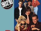 Beverly Hills 90210 (Vinyl LP)