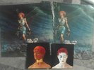 Toyah Anthem Promo Hand Signed Print + 2 Promo prints & Free Album