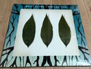 BIFFY CLYRO - Similarities *2LP* LIMITED VINYL NEW/SEALED *RAR*