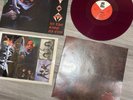 Sodom In the Sign of Evil Rare Vinyl LP Wax Maniax kreator slayer 1burzum