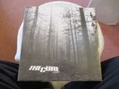 The Cure A Forest 12