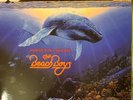 The Beach Boys – Summer in Paradise IMPORT Color Vinyl Gatefold w/ Poster NEW