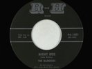 Surf Inst. 45 - Ramrods - Night Ride - R and H VG+
