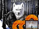 Cody Jinks The Wanting After The Fire (Vinyl)