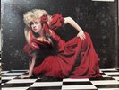 Vintage Stevie Nicks The Other Side of The Mirror LP