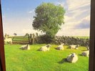 KLF Chill Out 2017 Clear Vinyl Record Ambient Techno Historic Album