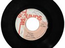JOHNNY CLARKE - The Ruler - REGGAE ROOTS ROCKERS 45 total sounds 7