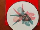 Alice In Chains Limited Edition Picture Disc Vinyl Double LP Devil Put Dinosaur…