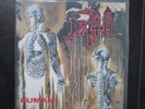 DEATH Human LP First Press Relativity Records 1991 Rarität Vinyl Rar