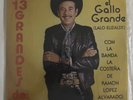 LALO ELIZALDE CON LA BANDA LA COSTEÑA - 13 GRANDES - 1985 MEXICAN LP, BANDA