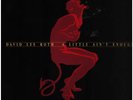 David Lee Roth A Little Aint Enough NEAR MINT Warner Vinyl LP