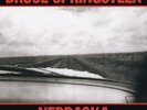 Bruce Springsteen Nebraska (Vinyl) 12