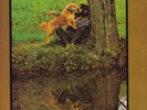 BOBBY CHARLES same HOLLAND 197? EX+ (LP7893)
