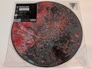 Deftones White Pony 20th Anniversary Picture Disk Vinyl Record RSD 45 rpm