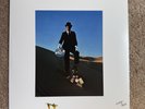 Pink Floyd Wish You Were Here Quadratic Coral Splatter Blood Records Vinyl