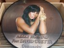 Kelly Roland Feat David Guetta - Commander - 12