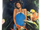 Minnie Riperton - Adventures in Paradise Vinyl LP Album Epic 1975 G+