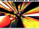 The Future Sound of London Accelerator (Vinyl) 12