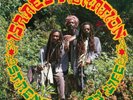 Israel Vibration Strength of My Life (Vinyl) 12