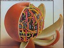 Ryo Kawasaki Juice Vinyl LP RCA APL1-1855 First US Press VG+ Japan Breaks Funk