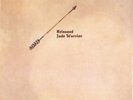 JADE WARRIOR: RELEASED - LP vinyl *BRAND NEW*