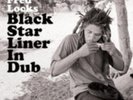 FRED LOCKS: BLACK STAR LINER IN DUB - LP vinyl *BRAND NEW*