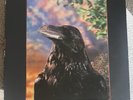 The Stranglers The Raven Rare  1979 Vinyl Lenticular Cover with Banned Inner
