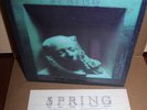 SPRING Lp Self Titled RARE PROMO BRIAN WILSON Beach Boys W/ Insert UAS 5571 EX