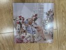 SABRINA CARPENTER Pink Champagne Liquid Man's Best Friend Vinyl LP | IN HAND