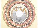 Bob Brady – More More More Of Your Love  USA 1972  7