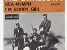 The SWALLOWS * 1964 BELGIUM SURF GUITARS HOT ROD 45 * Listen