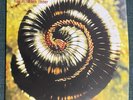 Nine Inch Nails Closer Double Vinyl- DJ Version