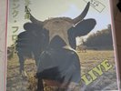 Pink Floyd Atom...Live Promo Japan Handnumbered 1 Of 10 Only Made