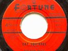 Blues 45,  DOCTOR ROSS,  1961, FORTUNE, “Cat Squirrel” / “The Sunnyland”,  M-