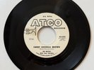 The Beatles With Tony Sheridan￼ Sweet Georgia Brown Atco White Label Promo 45 ￼
