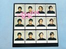The Diodes – The Diodes  (Promotion Copy, Unplayed)