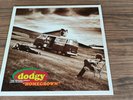 Dodgy  Homegrown 12” First Press 1994, LP A&M Records 540 282-1 - Original Owner