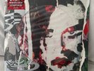 The Cure Torn Down Mixed Up Extras 2018 Picture Disc Vinyl 2LP RARE NEW