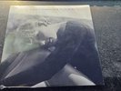 Taylor Swift “Cardigan” Voice Memo 7” Vinyl BRAND NEW / PRISTINE LIMITED EDITION