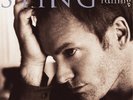 Sting Mercury Falling (Vinyl) 12