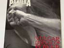 Pantera - Vulgar Display of Power - 1992 1st Pressing. EU Promo. Ships from USA