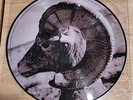 The Killers Sam's Town Picture Disc LP VERY RARE LIMITED EDITION